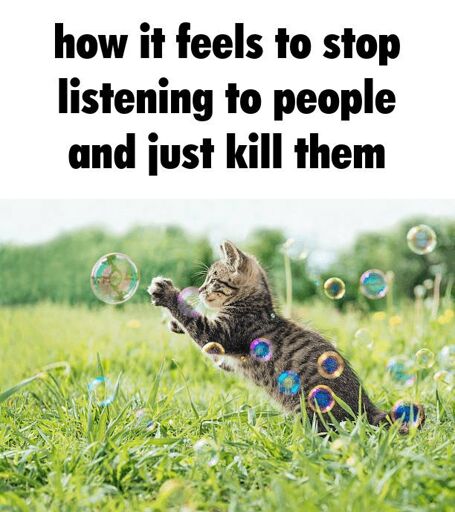A photo of tabby kitten popping a bubble on green grass and blue sky titled How it feels to stop listening to people and just kill them 