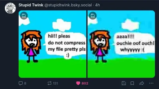 Bluesky post by Stupid Twink with two drawings, the first a woman in a field asking "Hi, please do no compress my file pretty pls :)". The second show the same drawing with visible compression artifacts with her now saying "Aaaa! Ouchie off ouch whyyyy :(".