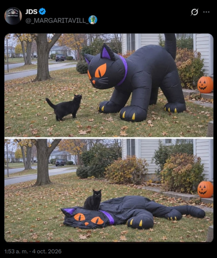 Panel 1: A black cat stares up at an inflatable decorative black cat many times its size. Panel 2: the real cat sits on top of the now-deflated decorative black cat.