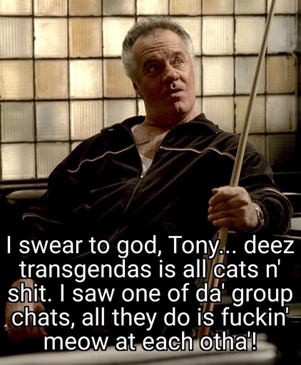 A picture of Paulie from Sopranos sitting on a couch with a pool cue in hand. A text reads: "I swear to god, Tony... deez transgendas is all cats n' shit. I saw one of da' group chats, all they do is fuckin' meow at each otha'!"