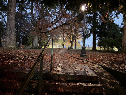 A concrete path into a wooded park, with fallen leaves covering the path and woods