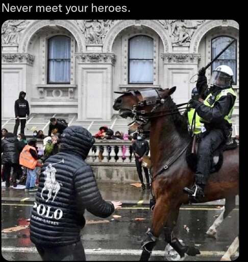 A protester in a jacket with a polo logo meets a mounted policeman with a baton