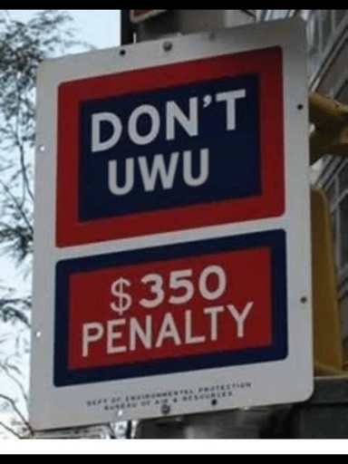 A picture of two signs. One on the top says "Don't uwu" and the one underneath says "$350 penalty"