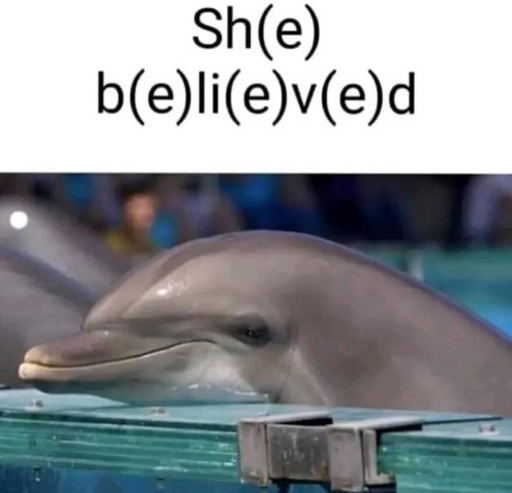 "Sh(e) b(e)li(e)v(e)d" captioned above the image of a dolphin (who looks very smug, i might add)