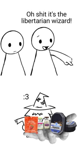 Top panel: Two cartoon guys standing next to each other. One of them exclaims: "Oh shit it's the libertarian wizard!" Bottom panel: A wizard holds his hand out. In his hand he has weed gummies, estrogen, testosterone & magic truffles. He says: ":3" 