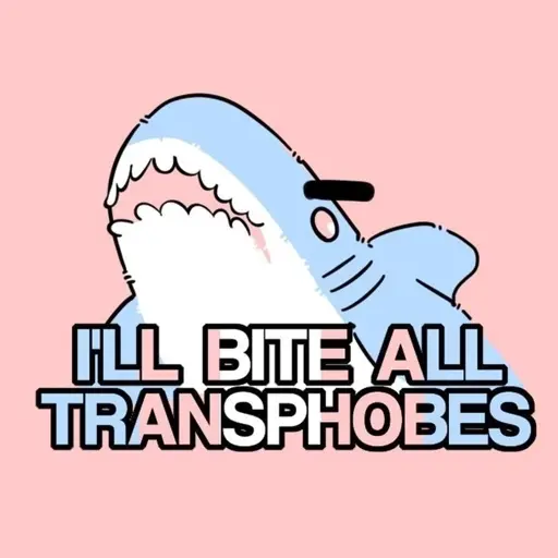 A cute drawing of blåhaj with the caption "I'll bite all transphobes". Everything is in the trans flag colors