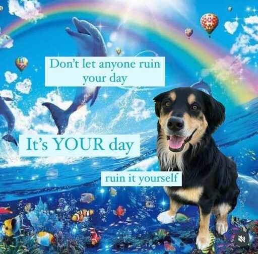 Every rule you have is special because you're in it