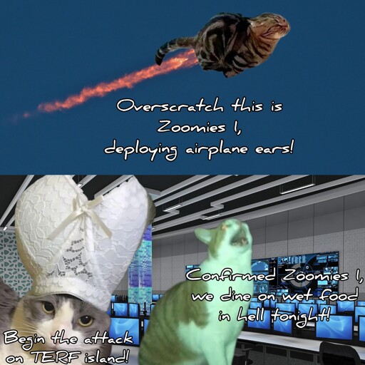 On top there's a still image of a cat running that has been placed in the sky with a rocket exhaust trail behind it. The cat says: "Overscratch this is Zoomies 1, deploying airplane ears!" Below is an image of a command center with two cats. One cat has a bra on his head that vaguely resembles the pope hat. It says: "Begin the attack on TERF island!"  The other cat is covered in a bluish glow of the monitors, yelling while looking at the sky. It says: "confirmed Zoomies 1, we dine on wet food in hell tonight!"