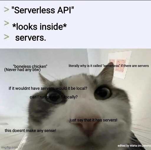 a cat looks intrigued but co fused at the camera.Text says "Serverless API? I look inside. What do I see? Servers". Small text all around the cat says "boneless chicken. never had any btw", "literally why is it called serverless if there are servers", "uf it wouldn't have servers, woukd it be local?", "can I run qwen 3.5 locally?", "just say that it has servers!", "this doesnt make any sense!". text in bottom right coner "edited by Maria on Lemmy"