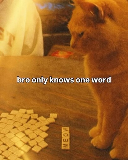 Board rules are hard