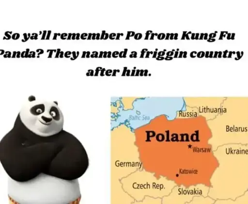A picture of Po from Kung Fu Panda and Poland next to each other. Some text over them reads "So ya'll remember Po from Kung Fu Panda? They named a friggin' country after him."